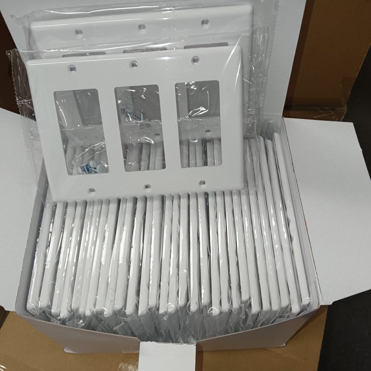 Wall plate packaging in carton